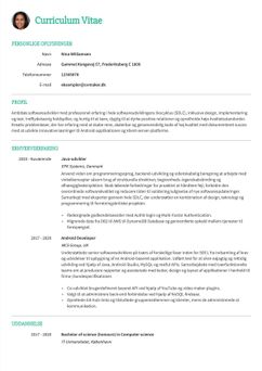 Vælg skabelonen Princeton, for at udarbejde et professionelt CV