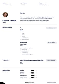 Vælg skabelonen Duke, for at udarbejde et professionelt CV