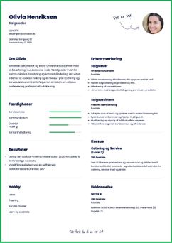 Vælg skabelonen Michigan, for at udarbejde et professionelt CV