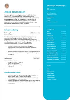 Vælg skabelonen California, for at udarbejde et professionelt CV