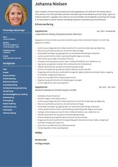Vælg skabelonen Stanford, for at udarbejde et professionelt CV
